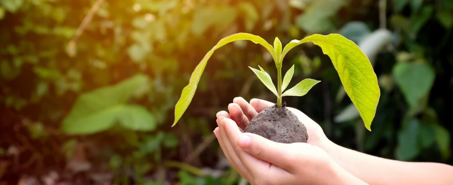 ISO 14001 Header